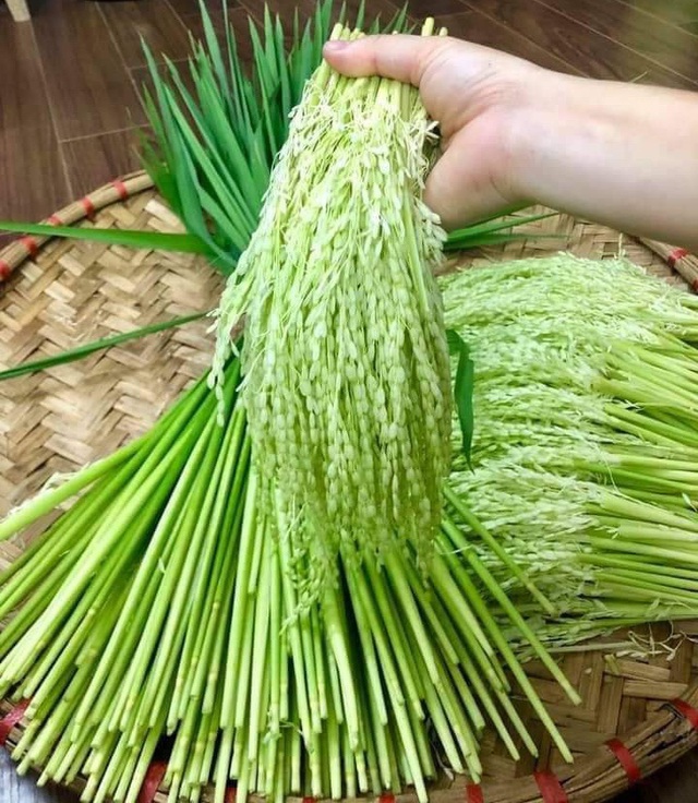 Đ&ograve;ng đ&ograve;ng l&uacute;a nếp đắt gi&aacute;, h&agrave;ng lạ h&uacute;t qu&yacute; &ocirc;ng l&agrave;m qu&agrave; hưởng Tết - Ảnh 1.