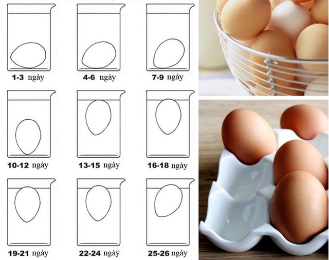 Luộc trứng tưởng là dễ nhưng liệu chị em đã biết cách luộc trứng chín theo từng cấp độ chưa? - Ảnh 1.
