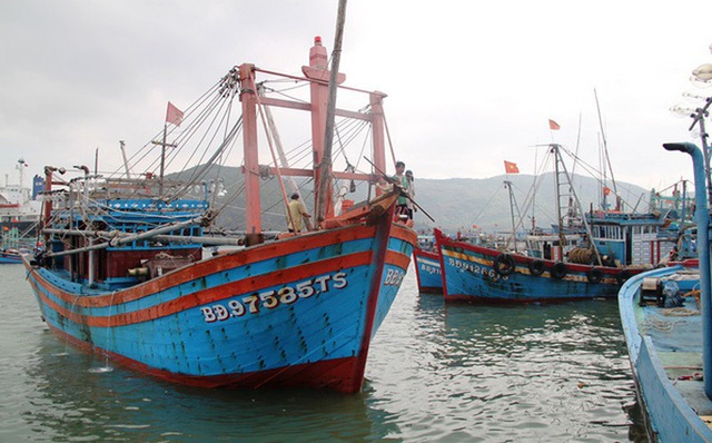  Bị chìm trên đường tránh bão, 26 thuyền viên của 2 tàu cá Bình Định mất tích  - Ảnh 1.