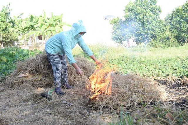 Làng bắt chuột đồng ở Hải Dương ngày chính vụ làm đến đâu hết đến đấy - Ảnh 12.