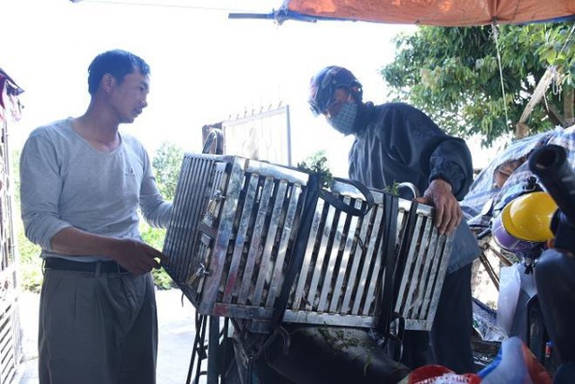 Làng bắt chuột đồng ở Hải Dương ngày chính vụ làm đến đâu hết đến đấy - Ảnh 4.