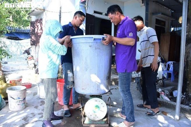 Làng bắt chuột đồng ở Hải Dương ngày chính vụ làm đến đâu hết đến đấy - Ảnh 6.