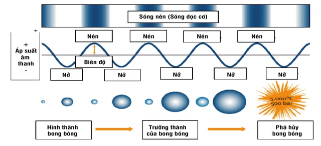 7hinh-4-nguyen-ly-tao-ra-song-sieu-am-va-oh--1603846311425877203194.jpg