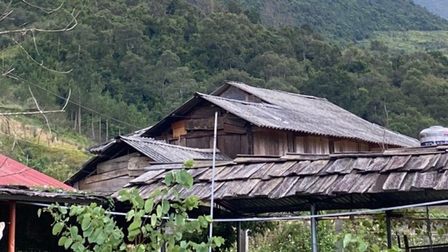  Xuống tay sát hại bố đẻ rồi trốn vào rừng ăn lá ngón tự sát  - Ảnh 1.