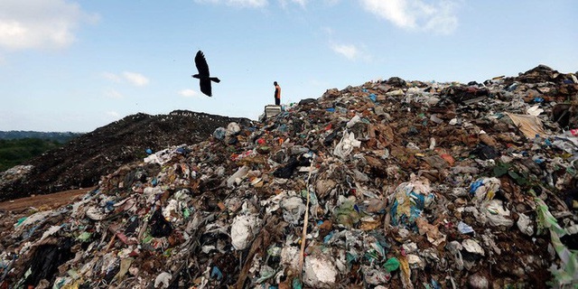  Sri Lanka trả lại rác thải chứa bộ phận cơ thể người cho Anh  - Ảnh 1.