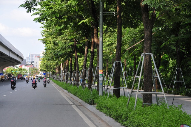 Hà Nội: Ngắm vỉa hè đẹp mắt phủ kín cây xanh trên đường Phạm Văn Đồng - Ảnh 6.