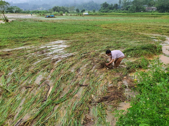 Người dân Lào Cai khắc phục hậu quả sau trận mưa lớn kỷ lục 63 năm qua - Ảnh 4.