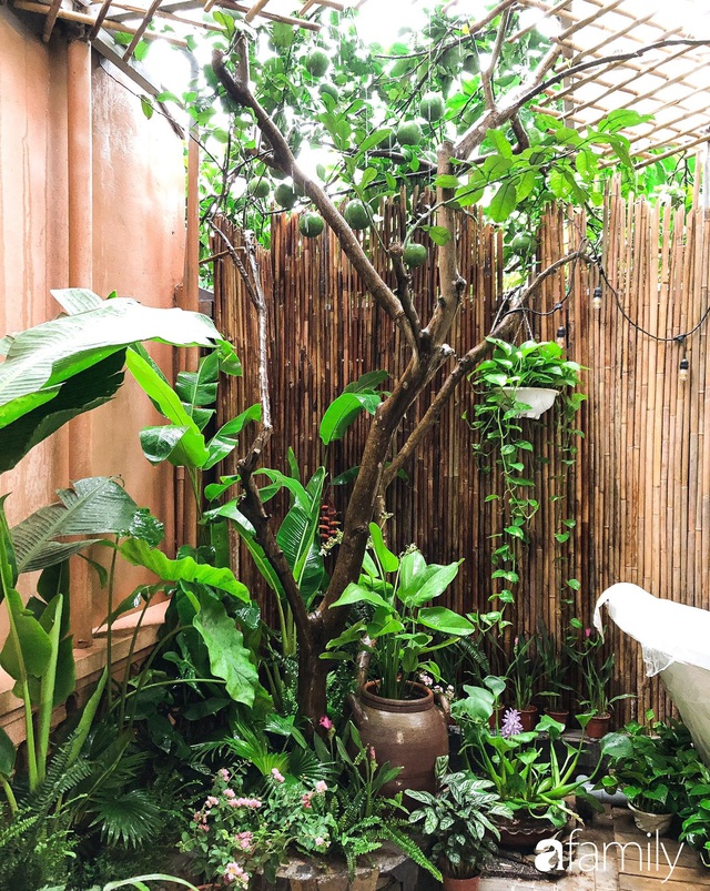 Khu vực trồng cây lột xác thành phòng tắm ngoài trời đẹp mê li giữa lòng Hà Nội - Ảnh 22.