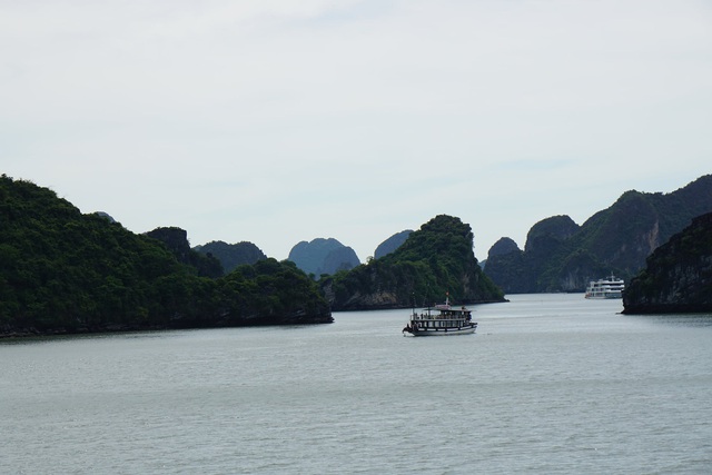 Hải Phòng công bố các cụm, điểm neo đậu cho tàu lưu trú, nghỉ đêm trên vịnh Cát Bà  - Ảnh 1.