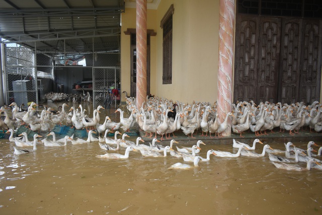 Người dân huyện Quảng Ninh (Quảng Bình) căng mình chống lũ - Ảnh 10.