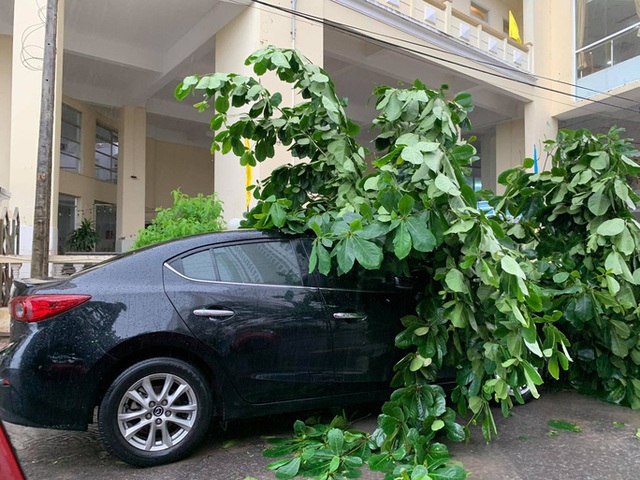 Hình ảnh bão số 12 đổ bộ: Mưa lớn, gió thổi mạnh quật đổ cây xanh - Ảnh 3.