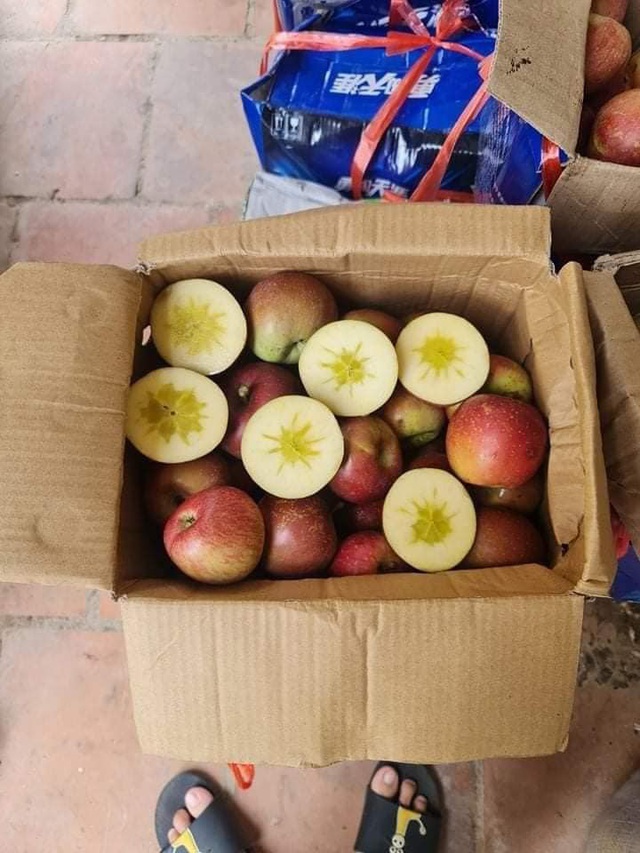 Dân buôn vén màn nguồn gốc loại táo đá siêu rẻ chỉ 10.000 đồng/kg được quảng cáo là đặc sản Hà Giang, bà nội trợ kiểm chứng nhanh chỉ qua chi tiết này - Ảnh 2. Dân buôn vén màn nguồn gốc loại táo đá siêu rẻ chỉ 10.000 đồng/kg được quảng cáo là đặc sản Hà Giang, bà nội trợ kiểm chứng nhanh chỉ qua chi tiết này - Ảnh 2.