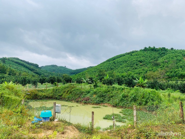 Dựng nhà bên suối, vợ chồng trẻ chi 40 triệu đồng tạo vườn cây xanh mát sống một đời an yên ở ngoại ô Nha Trang - Ảnh 3.