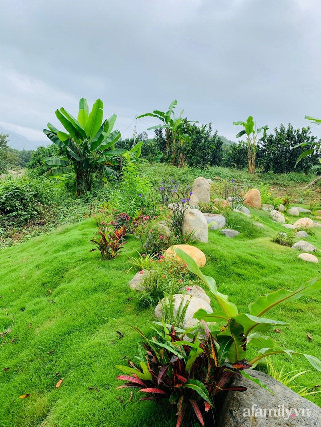 Dựng nhà bên suối, vợ chồng trẻ chi 40 triệu đồng tạo vườn cây xanh mát sống một đời an yên ở ngoại ô Nha Trang - Ảnh 21.