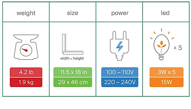 Bí quyết đặc biệt giúp vườn cây mini trong nhà vẫn tốt tươi dù không tưới nước trong 60 ngày - Ảnh 11.