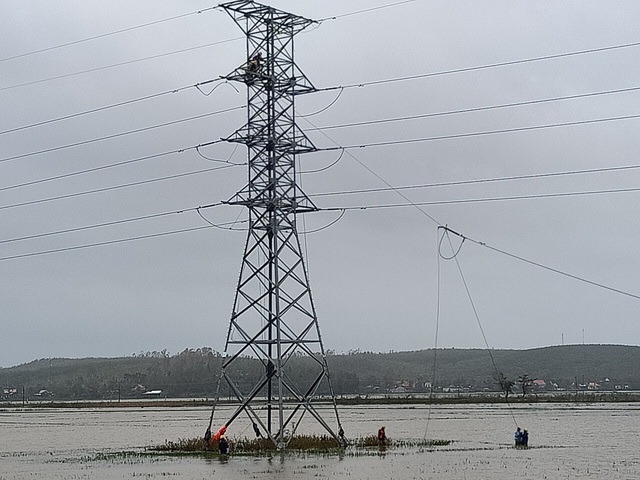 Tổng công ty Truyền tải điện Quốc gia khắc phục sự cố lưới điện 110kV sau bão số 9 tại Quảng Ngãi - Ảnh 5.