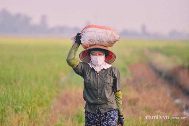 Chuyện người phụ nữ gánh cả giang sơn chăm chồng tai nạn, nuôi con vào Đại học bằng cái làn bắt ốc và một trái tim mong manh nhưng đầy yêu thương - Ảnh 9.