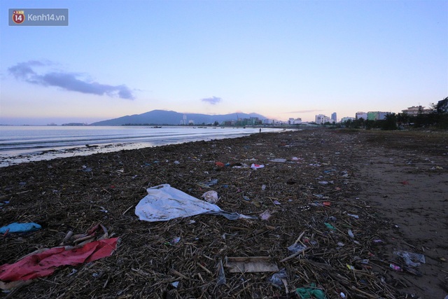 Chùm ảnh: 3.000 tấn rác dạt vào bãi biển Đà Nẵng sau bão số 13 - Ảnh 6.