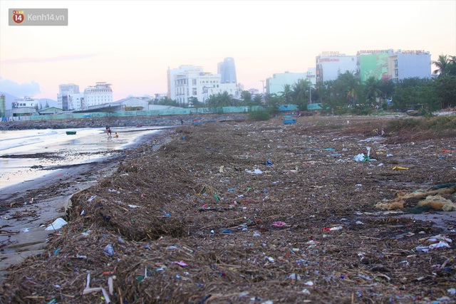 Chùm ảnh: 3.000 tấn rác dạt vào bãi biển Đà Nẵng sau bão số 13 - Ảnh 7.