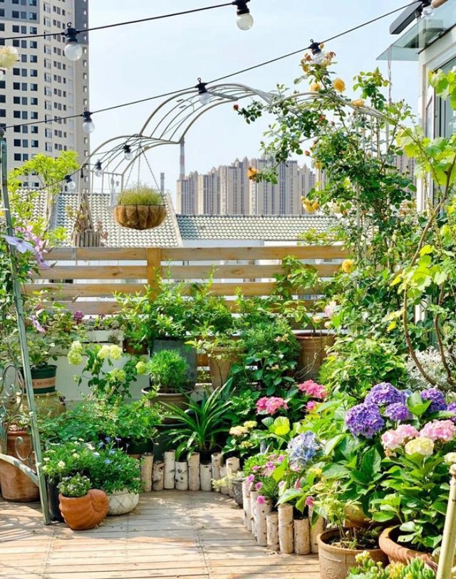 Vì yêu hoa, bà mẹ trẻ mua ngay căn hộ áp mái để trồng cả vườn hồng trên sân thượng rộng 33m² - Ảnh 7.