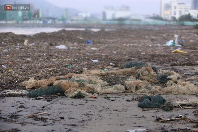 Chùm ảnh: 3.000 tấn rác dạt vào bãi biển Đà Nẵng sau bão số 13 - Ảnh 10.