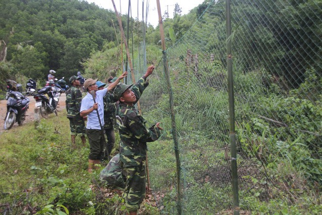  Sau mưa bão, đàn voọc gáy trắng lại lao xuống đường tấn công người  - Ảnh 3.