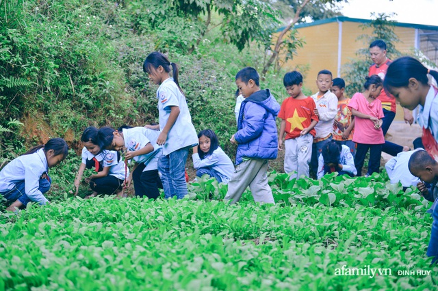 Chuyện của những lớp học trên mây ở Thu Lũm: Cô giáo băng rừng, vượt suối bắt trẻ đi học, cô hổn hển trò tèm lem nước mắt theo cái chữ, con tương lai - Ảnh 24.