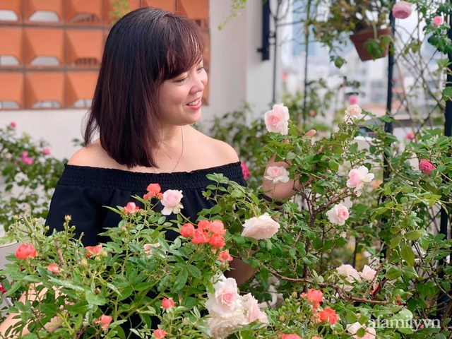 Ngày 20/11 ghé thăm vườn hồng ngát hương dịu dàng khoe sắc trên sân thượng của cô giáo dạy Văn ở Nha Trang - Ảnh 7.