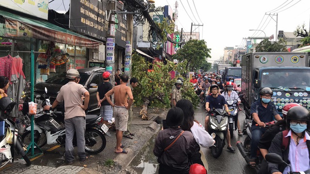 TP.HCM: Ô tô tông nhiều xe máy nằm la liệt, làm gãy cây xanh và khiến cửa hàng bị hư hỏng - Ảnh 3.