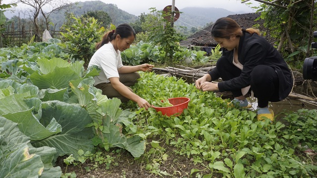 Bổ sung đa vi chất cho phụ nữ mang thai góp phần nâng cao chất lượng giống nòi - Ảnh 5.