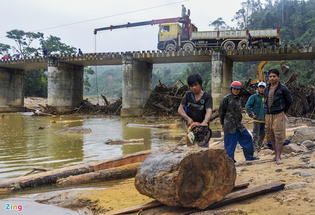 Sau mưa lũ, gỗ rừng dày đặc trên sông ở Quảng Ngãi - Ảnh 9.