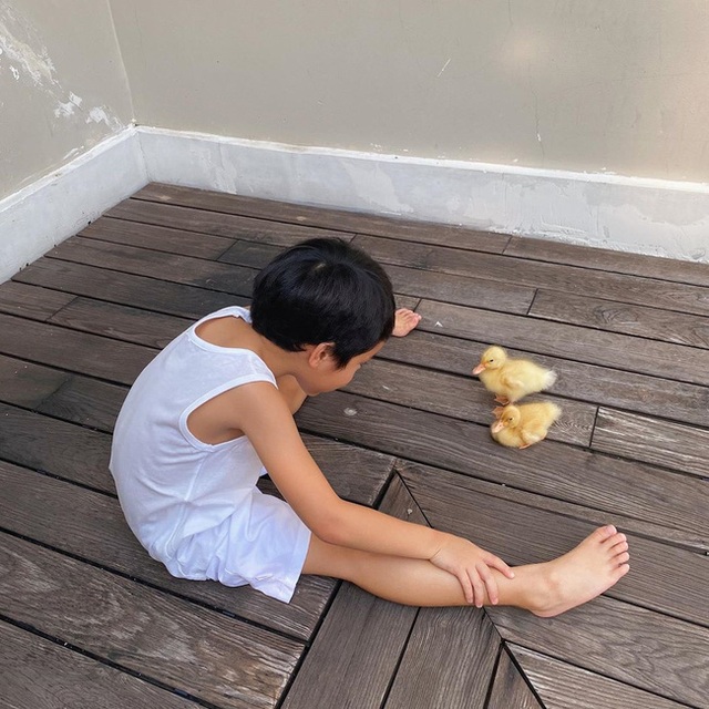 Bất ngờ với vóc dáng của cậu nhóc nhà Tăng Thanh Hà, mới 5 tuổi mà đã phổng phao, đáng yêu thế này - Ảnh 1.