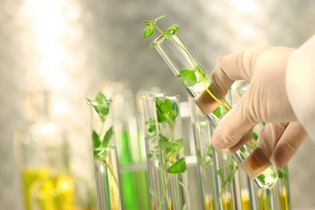 Mỹ phẩm chiết xuất từ tế bào gốc noãn thực vật: lựa chọn mới khắc phục các vấn đề lão hóa của làn da - Ảnh 1.