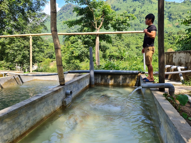 Nhiều hồ nuôi ở Việt Nam bỏ hoang, nông dân khốn đốn vì cá tầm Trung Quốc giá rẻ phủ khắp thị trường - Ảnh 10.
