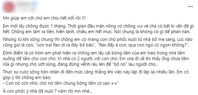 Kết hôn được 1 tháng, chồng đã mang con riêng về nhà rồi cưng nựng, vợ ức uất đe dọa ly hôn, danh tính của đứa con khiến ai cũng phì cười - Ảnh 1. Kết hôn được 1 tháng, chồng đã mang con riêng về nhà rồi cưng nựng, vợ ức uất đe dọa ly hôn, danh tính của đứa con khiến ai cũng phì cười - Ảnh 1.