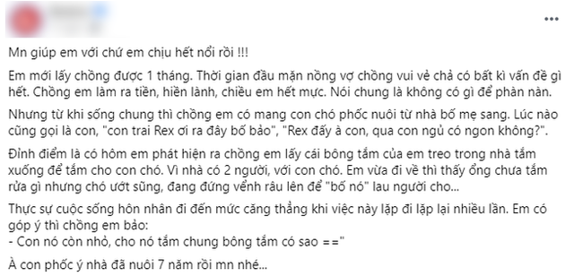 Kết hôn được 1 tháng, chồng đã mang con riêng về nhà rồi cưng nựng, vợ ức uất đe dọa ly hôn, danh tính của đứa con khiến ai cũng phì cười - Ảnh 1.