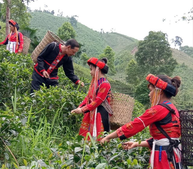 Những bữa cơm “có thịt” từ Chương trình Bảo vệ, phát triển dân tộc thiểu số ít người - Ảnh 1.