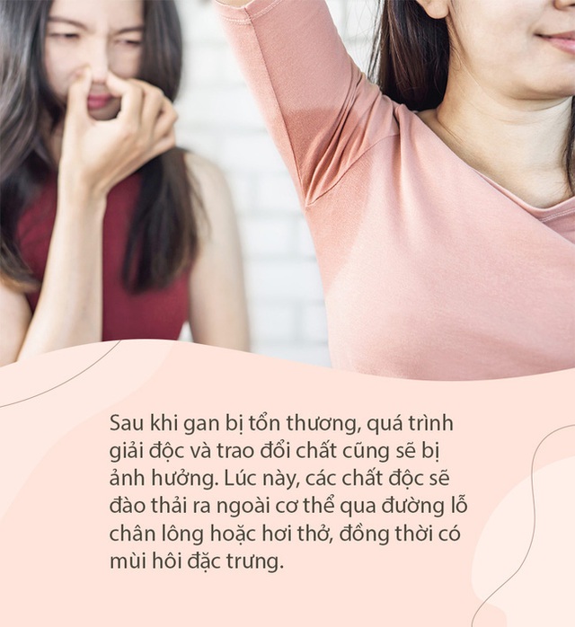 Khi gan bị tổn thương, 3 bộ phận trên cơ thể này sẽ bốc mùi, 2 bộ phận bị đau, cần đặc biệt lưu ý - Ảnh 1.