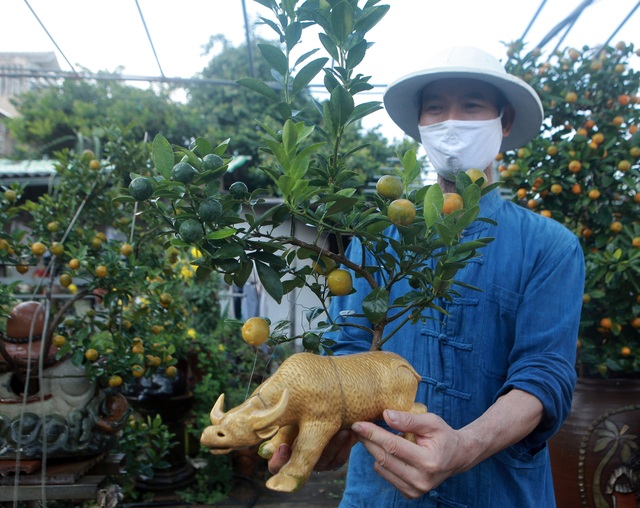 Nông dân trồng đào, quất “chạy nước rút” đón Tết cổ truyền - Ảnh 5.