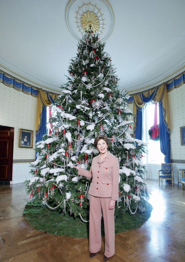 Nhiệm vụ trang trí Nhà Trắng dịp Giáng sinh của các đệ nhất phu nhân - Ảnh 12.