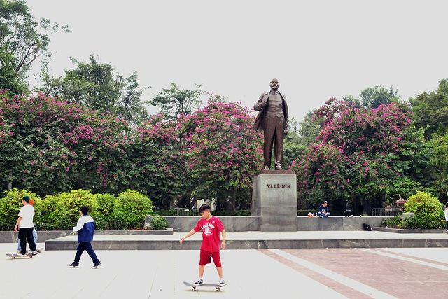 Hà Nội: Hoa ban nở đỏ rực quanh tượng đài Lê Nin - Ảnh 1.