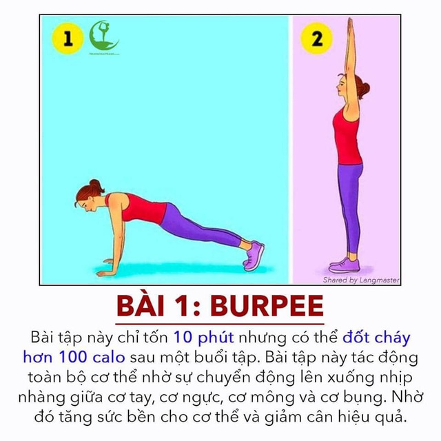 3 bài tập cardio đơn giản đốt cháy mỡ thừa nhanh gấp 10 lần chạy bộ - Ảnh 2.