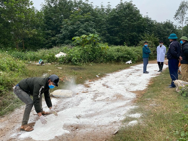 Công an lên tiếng về vụ việc đàn lợn cả trăm con bị vứt bỏ ven đường khiến người dân kinh hãi  - Ảnh 4.