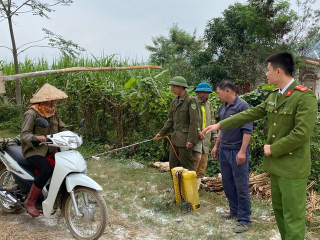 Công an lên tiếng về vụ việc đàn lợn cả trăm con bị vứt bỏ ven đường khiến người dân kinh hãi  - Ảnh 5.