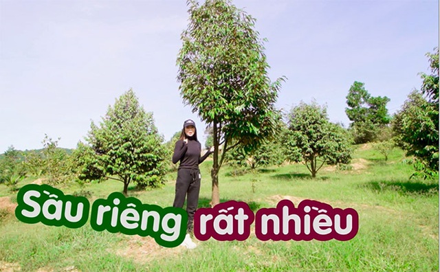Khu vườn rộng gần 10.000 m2 bạt ngàn cây trái của Trà Ngọc Hằng - Ảnh 7.