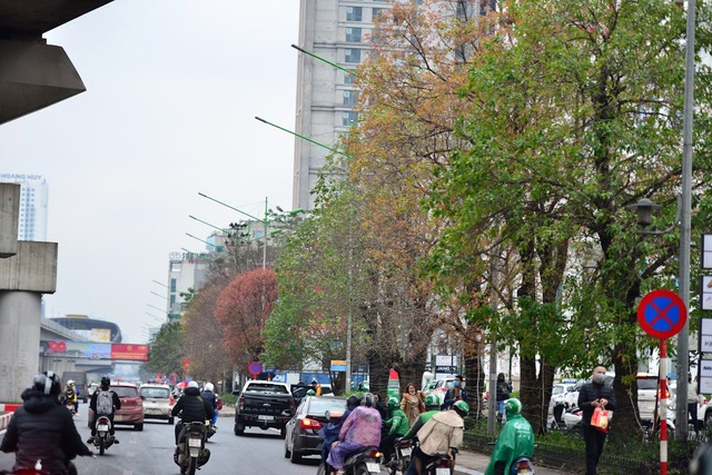 Ngây ngất hoa vùng Tây Bắc bung nở, phủ khắp phố phường Hà Nội - Ảnh 1.