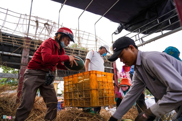 Xếp hàng mua dưa hấu, thanh long hỗ trợ nông dân ở TP.HCM - Ảnh 6.