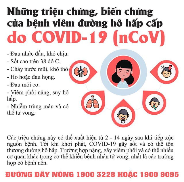 Hải Phòng cách ly 5 trường hợp từ Hàn Quốc về, có người ở tâm dịch Deagu - Ảnh 4.