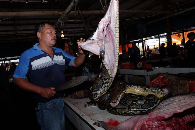 Thịt dơi, rắn khổng lồ bán la liệt trong chợ nổi tiếng Indonesia - Ảnh 11.
