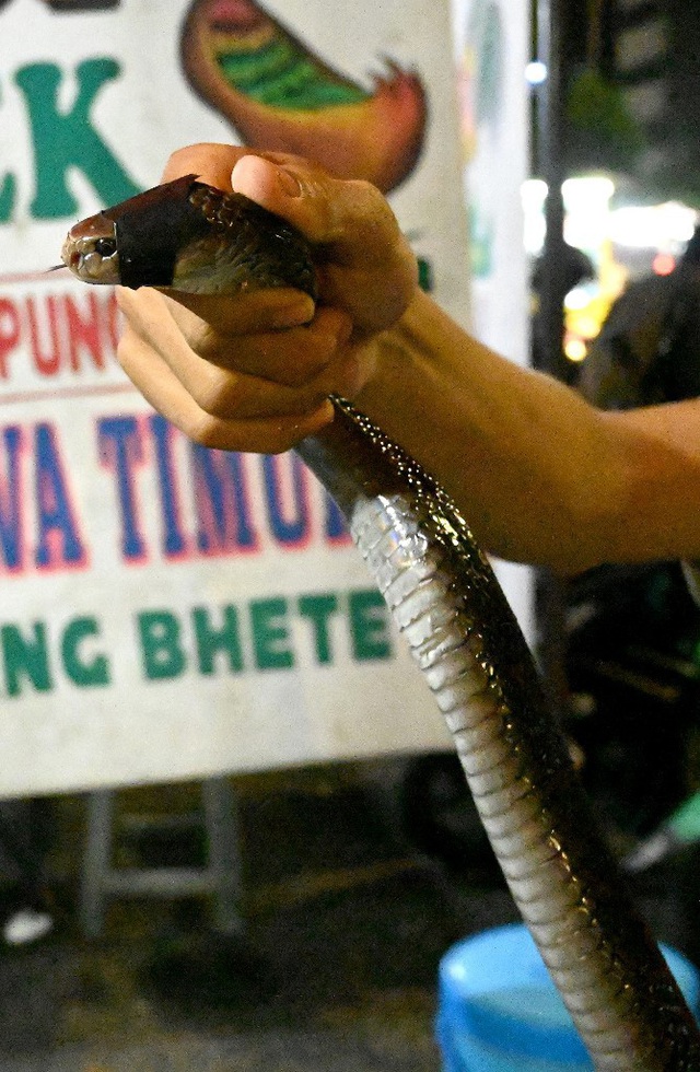Thịt dơi, rắn khổng lồ bán la liệt trong chợ nổi tiếng Indonesia - Ảnh 3.
